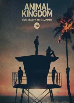 poster Animal Kingdom - Saison 5
